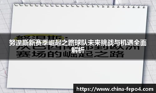努涅斯新赛季崛起之路球队未来挑战与机遇全面解析